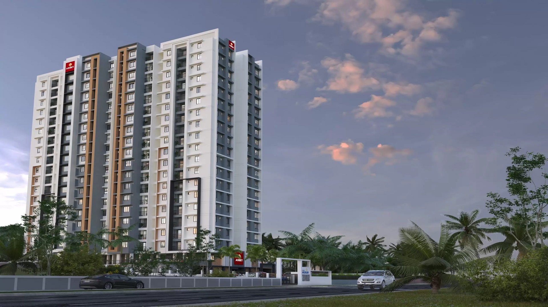 Asset Magnum